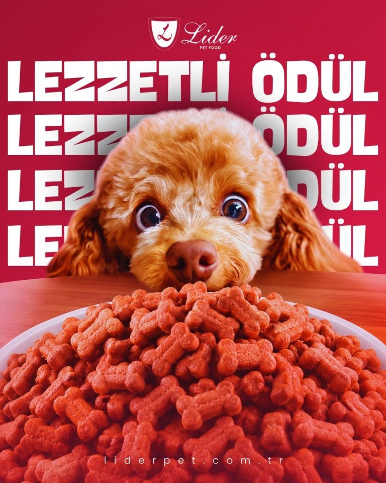 Kemik formlu ödül mamasına bakan poodle köpek görselli pet ürünleri tasarımı